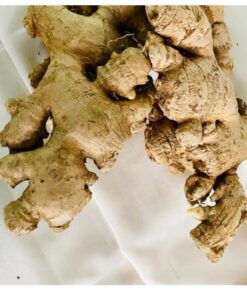 Fresh Ginger from Indonesia