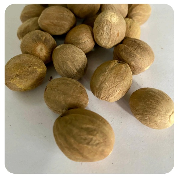 Nutmeg SS Grade
