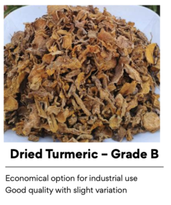 Dried Turmeric Grade B Supplier from Indonesia | Bulk Turmeric for Industrial Use
