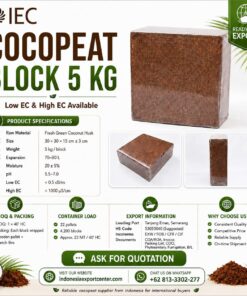 Cocopeat Block 5 kg from Indonesia