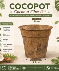 Cocopot / Coconut Fiber Pot