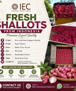 Fresh Shallots Supplier from Indonesia