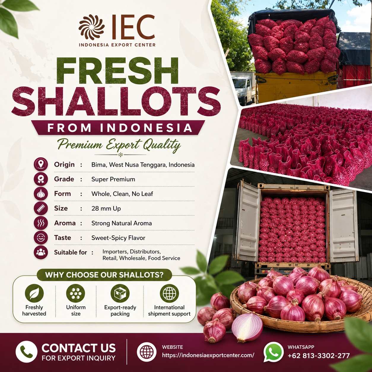 Fresh Shallots Supplier from Indonesia
