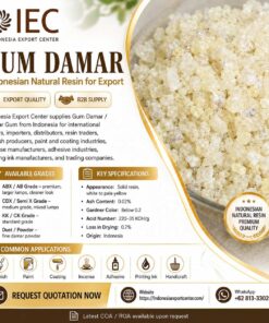 Gum Damar / Damar Gum from Indonesia