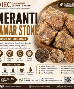 Meranti Damar Stone Supplier from Indonesia