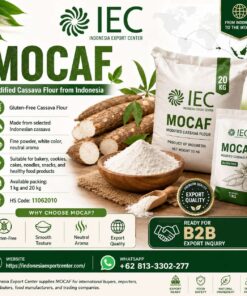 MOCAF / Modified Cassava Flour from Indonesia