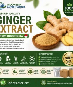 Ginger Extract from Indonesia