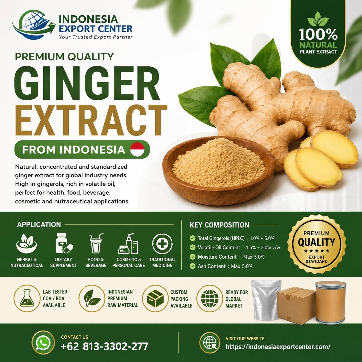 Ginger Extract from Indonesia