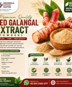 Red Galangal Extract Powder from Indonesia