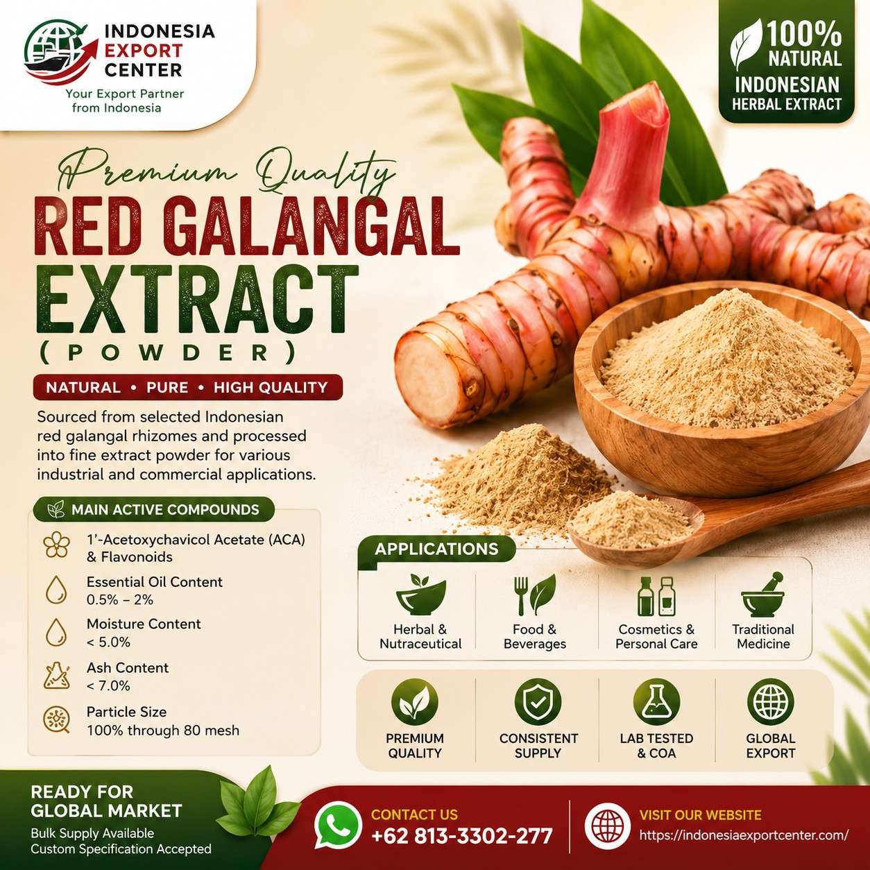 Red Galangal Extract Powder from Indonesia