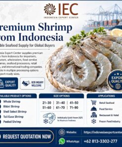 Premium Shrimp from Indonesia