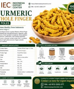 Turmeric Whole Finger 1× Poles from Indonesia