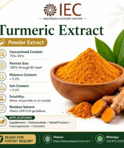 Turmeric Extract Powder from Indonesia