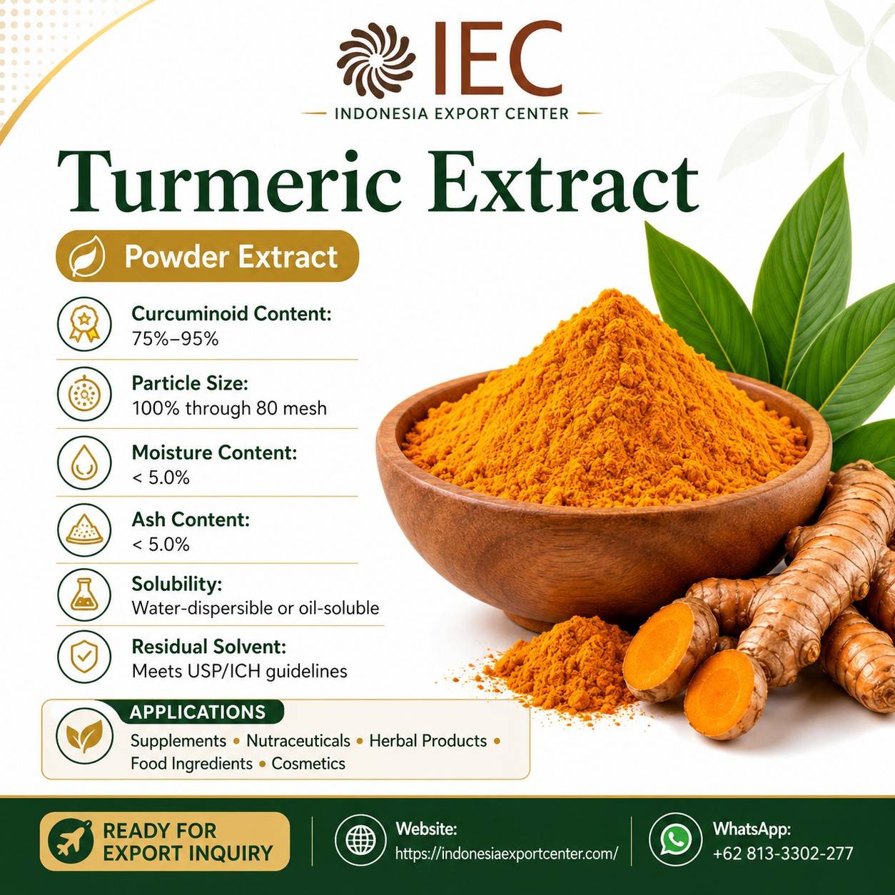 Turmeric Extract Powder from Indonesia