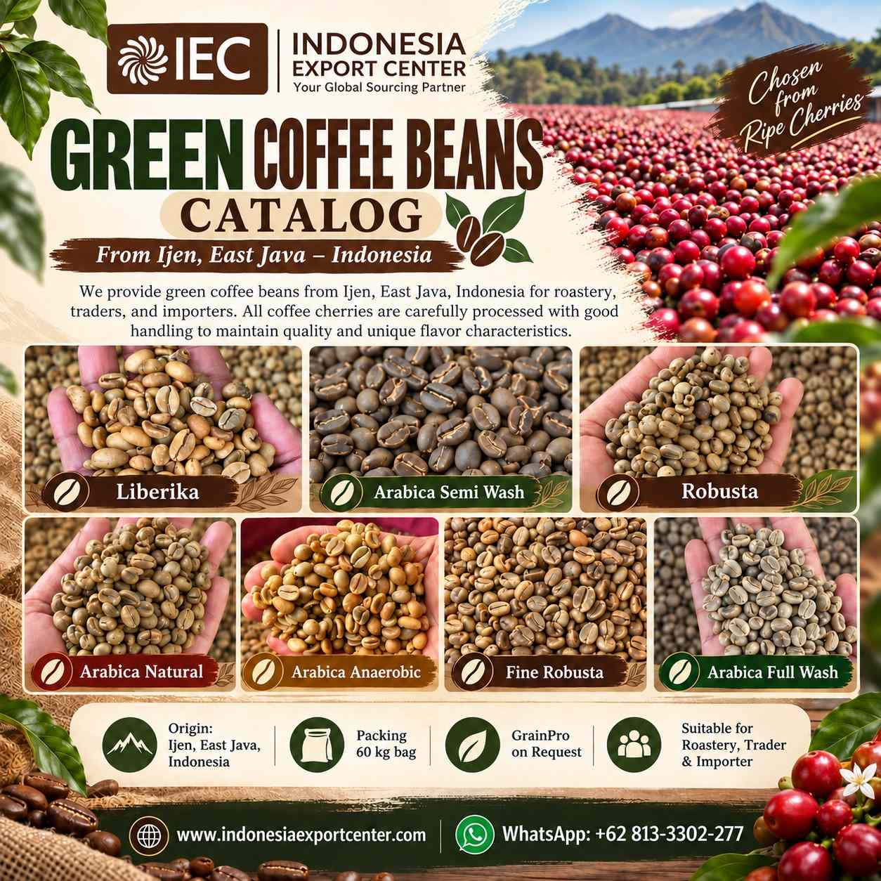 Indonesian Ijen Green Coffee Beans Supplier – Arabica, Robusta & Liberika