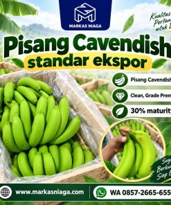 Indonesian Cavendish G9 Banana Supplier for Export